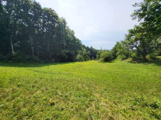 Grundstück zum Kauf 290.000 € 4.680 m² Grundstück Fürstenfeld 8280