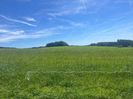 Land-/Forstwirtschaft zum Kauf 198.800 m² Grundstück Halver 58553