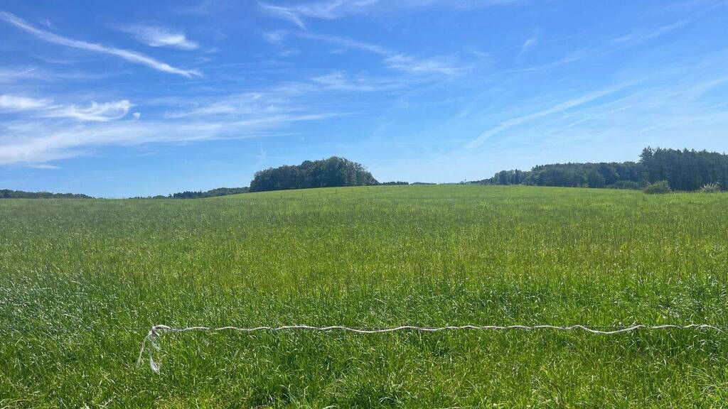Land-/Forstwirtschaft zum Kauf 198.800 m² Grundstück Halver 58553