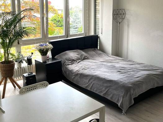 Studio zur Miete 450 € 1 Zimmer 30 m² Geschoss EG/3 frei ab 01.11.2026 Niefern Niefern-Öschelbronn 75223