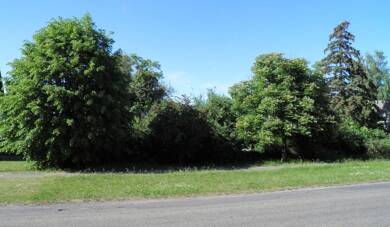 Grundstück zum Kauf als Kapitalanlage geeignet 32.000 € 781 m² Grundstück Straße des Friedens 51 Sachsendorf Lindendorf 15306