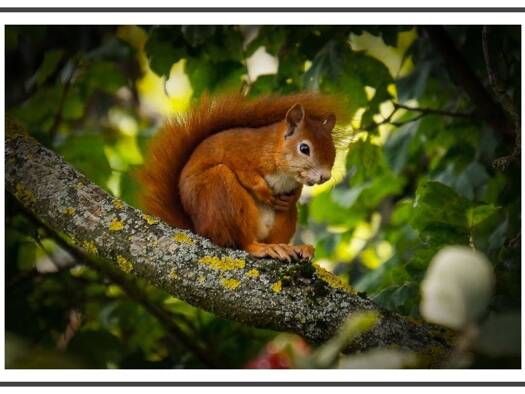 Wohnung zur Miete 601 € 2 Zimmer 52,3 m² 1. Geschoss Teichgräberzeile 15 Charlottenburg Berlin 13627