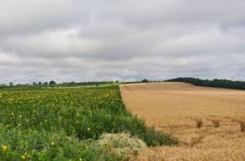 Land-/Forstwirtschaft zum Kauf provisionsfrei 500.000 m² Grundstück Westböhmen 1 Lohnsitz Tirschenreuth 95643