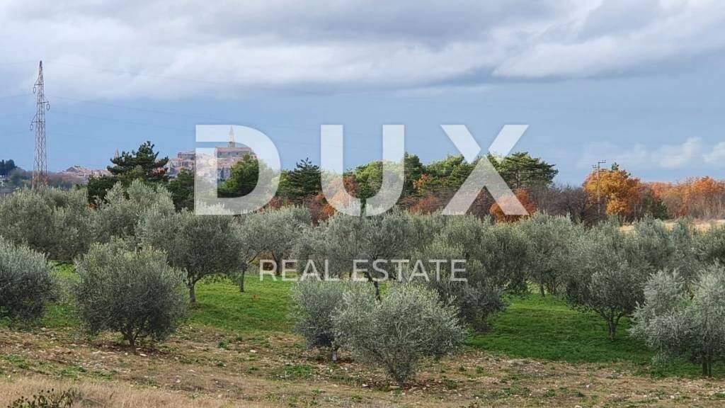 Land-/Forstwirtschaft zum Kauf 262.000 € Buje