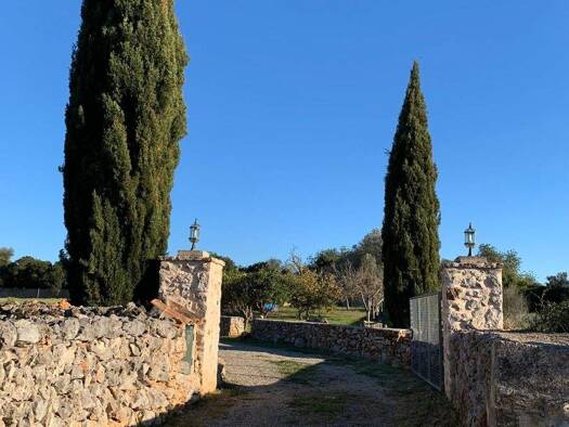 Grundstück zum Kauf provisionsfrei 295.000 € 23.700 m² Grundstück Santa Margalida 07450