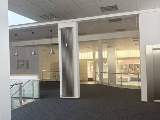 Verkaufsfläche zur Miete 506 m² Verkaufsfläche teilbar ab 506 m² Innenstadt Trier 54290