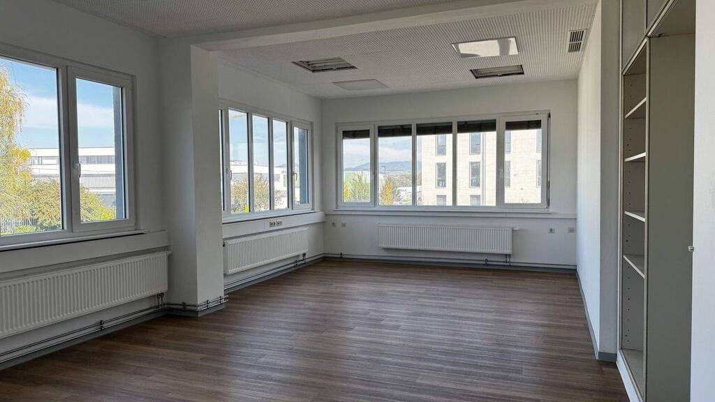 Bürofläche zur Miete 485 € 99 m² Bürofläche Breisach Breisach am Rhein 79206