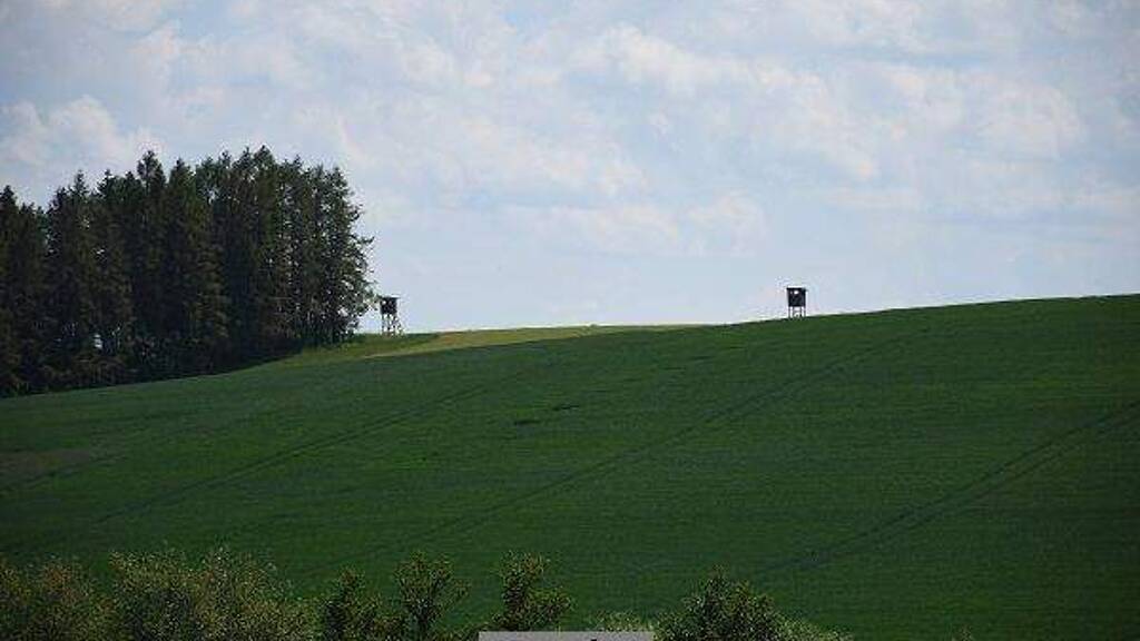 Land-/Forstwirtschaft zum Kauf 5.440 € 3.724 m² Grundstück Weismain 96260