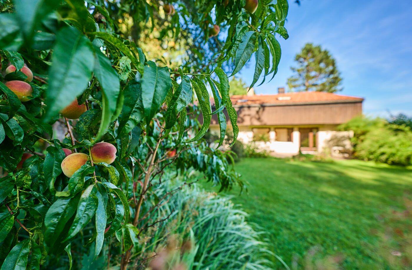 Einfamilienhaus zum Kauf - Ansicht 5