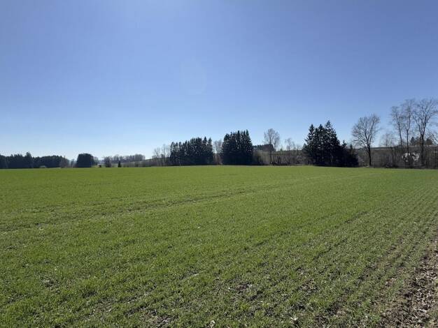 Gewerbegrundstück zum Kauf 450.000 € 23.673 m² Grundstück Stammbach Stammbach 95236
