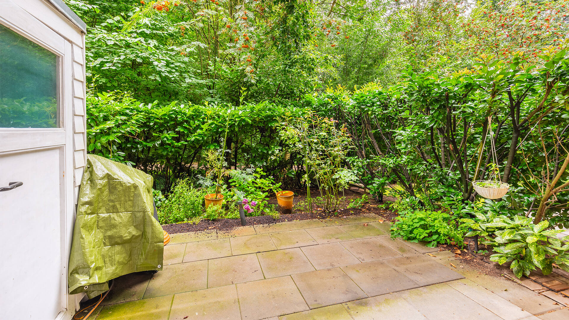 Property thumbnail 6