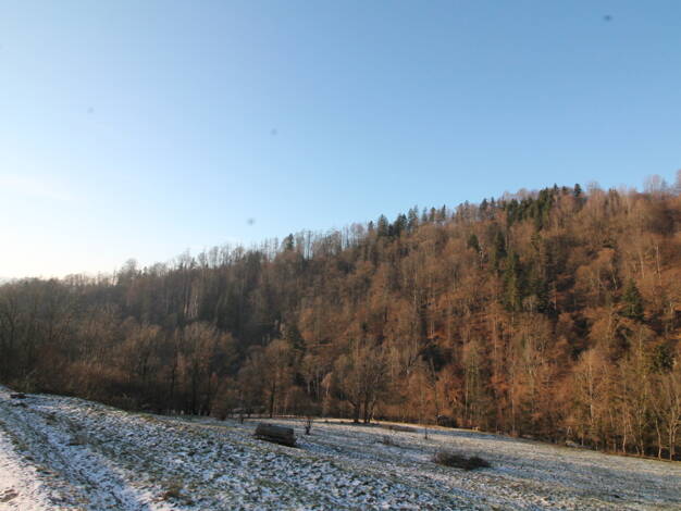 Land-/Forstwirtschaft zum Kauf 356.840 € 35.684 m² Grundstück Obernzell 94130