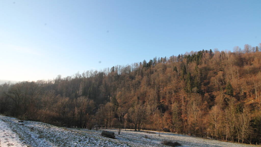 Land-/Forstwirtschaft zum Kauf 356.840 € 35.684 m² Grundstück Obernzell 94130