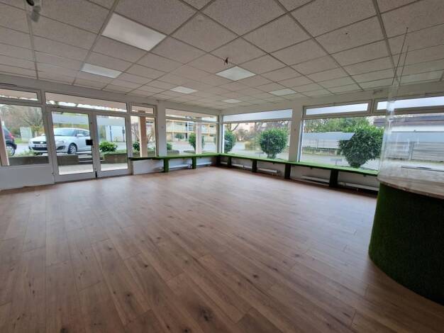 Ladenfläche zur Miete 650 € 1 Zimmer 55 m² Verkaufsfläche Bad Bellingen Bad Bellingen 79415