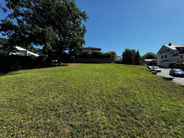 Grundstück zum Kauf provisionsfrei 98.000 € 1.076 m² Grundstück Pölitzstraße Hohenstein-Ernstthal 09337