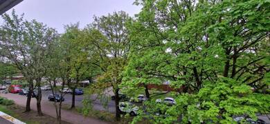 Wohnung zum Kauf provisionsfrei 154.500 € 2 Zimmer 58 m² frei ab sofort Westermannweg 3 A Marienwerder Hannover 30419