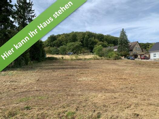 Einfamilienhaus zum Kauf - Erstbezug provisionsfrei 392.450 € 5 Zimmer 166 m² 1.500 m² Grundstück Waldstraße Lamspringe 31195