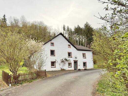 Einfamilienhaus zum Kauf 249.000 € 6 Zimmer 144 m² 1.691 m² Grundstück frei ab sofort Mühlenweg 8 Dasburg 54689