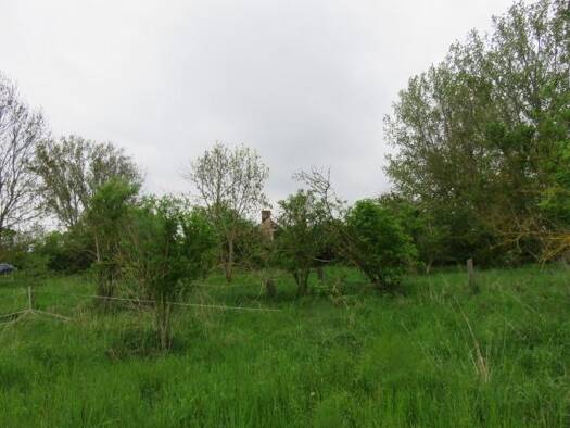 Grundstück zum Kauf 42.000 € 3.000 m² Grundstück Ampfurther Weg 24 Neubau Oschersleben / OT Neubau 39387