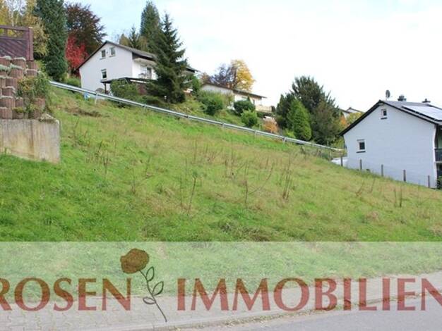 Grundstück zum Kauf 78.000 € 650 m² Grundstück Wald-Michelbach Wald-Michelbach 69483