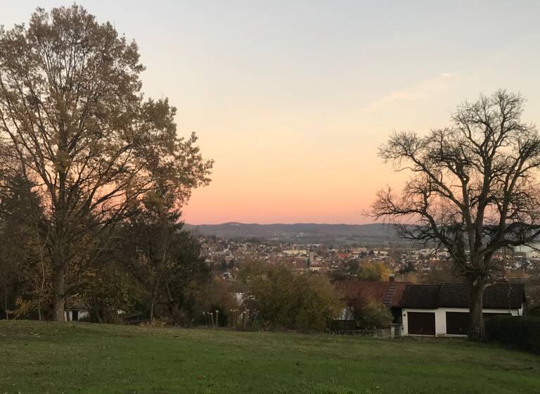 Grundstück zum Kauf provisionsfrei 440.000 € 800 m²<br/>Grundstück Am Weingartsteig 21 Burk Forchheim 91301