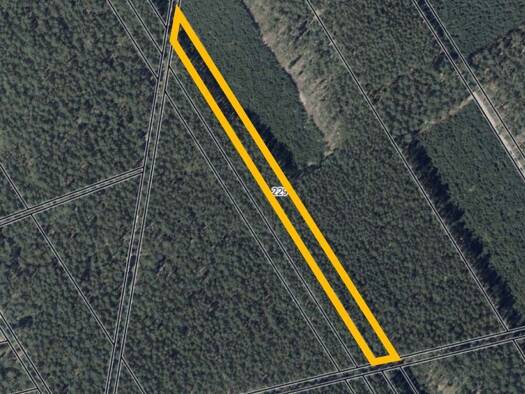 Grundstück zum Kauf 4.000 € 6.494 m² Grundstück Werdermühle, Flurstück 229 Niemegk 14823