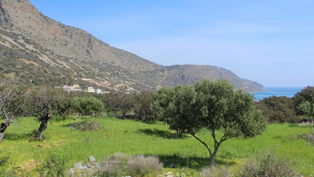 Land-/Forstwirtschaft zum Kauf 270.000 € 5.889 m² Grundstück Kreta