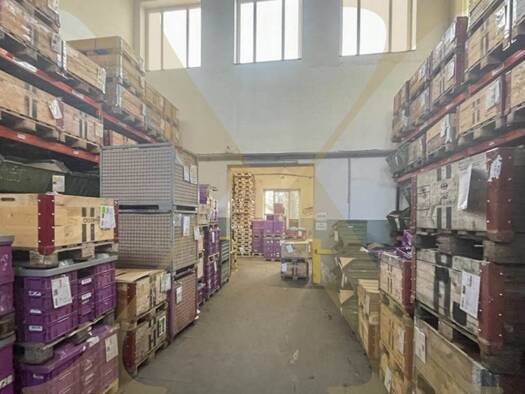 Lagerhalle zur Miete 4.200 € 854 m² Lagerfläche Asten 4481