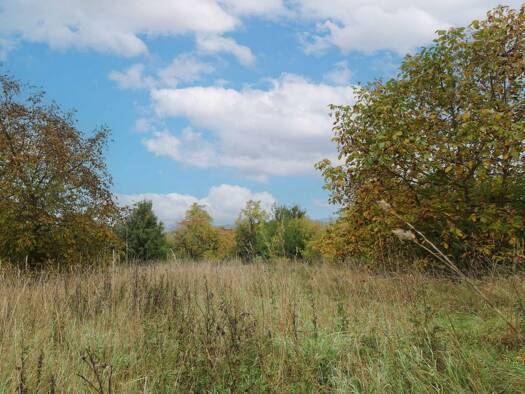 Grundstück zum Kauf 300.000 € 506,3 m² Grundstück Reuth Forchheim 91301