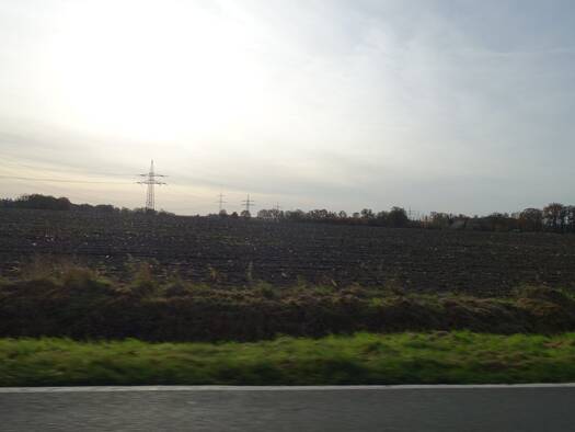 Land-/Forstwirtschaft zum Kauf Warpe Warpe / Helzendorf 27333