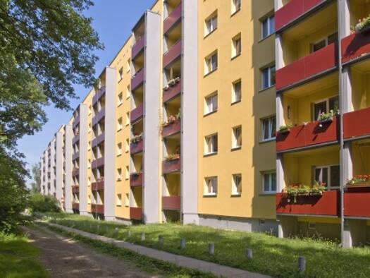 Studio zur Miete 219 € 1 Zimmer 25,5 m² 3. Geschoss Radeberger Str. 111 Radeberger Vorstadt Dresden 01099