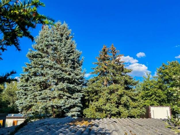 Grundstück zum Kauf 780.000 € 1.310 m² Grundstück Mickten Dresden 01139