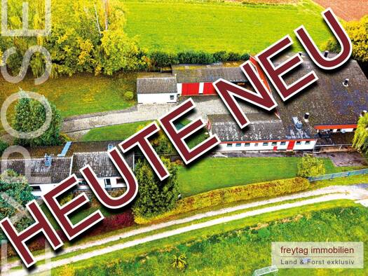 Haus zum Kauf 285.000 € 7 Zimmer 160 m² 9.200 m² Grundstück Kirchhosbach Waldkappel 37284