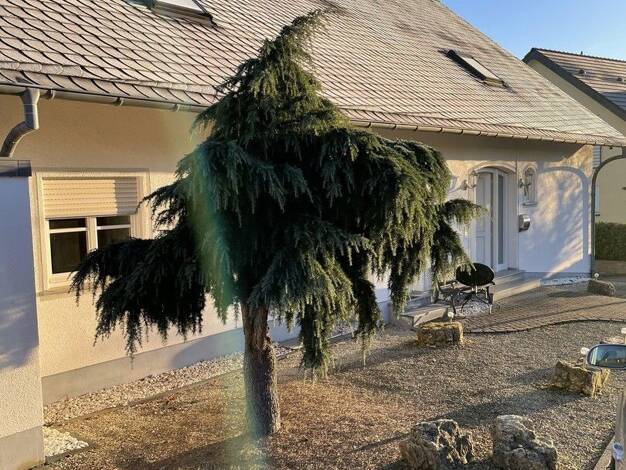 Wohnung zur Miete 1.640 € 4 Zimmer 165 m² frei ab sofort Wincheringen 54457