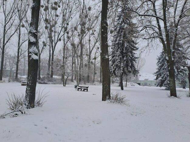 Wohnung zum Kauf 129.500 € 3 Zimmer 64 m² Stadtfeld West Magdeburg 39110