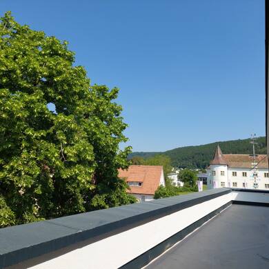 Penthouse zur Miete 850 € 2 Zimmer 65 m² Immendingen Immendingen 78194
