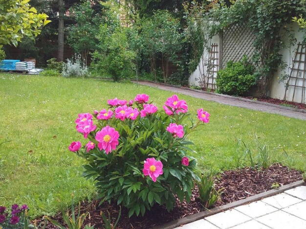 Wohnung zur Miete 1.450 € 2 Zimmer 90 m² EG frei ab 01.06.2026 Zorneding 85604