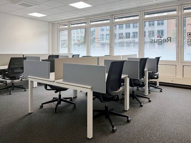 Bürofläche zur Miete provisionsfrei 299 € 30 m² Bürofläche teilbar von 10 m² bis 30 m² Kohlgartenstr. 11 Neustadt-Neuschönefeld Leipzig 04315