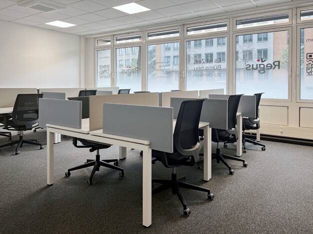 Bürofläche zur Miete provisionsfrei 279 € 30 m² Bürofläche teilbar von 10 m² bis 30 m² Kohlgartenstr. 11 Neustadt-Neuschönefeld Leipzig 04315