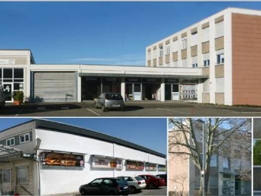 Bürofläche zur Miete provisionsfrei 10 € 1 Zimmer 46 m² Bürofläche Tullastraße 75 Brühl Freiburg im Breisgau 79108