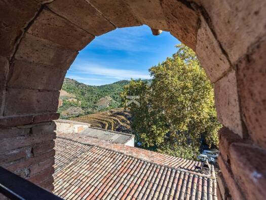 Haus zum Kauf 315.000 € 322 m² 102 m² Grundstück Torroja del Priorat 43737