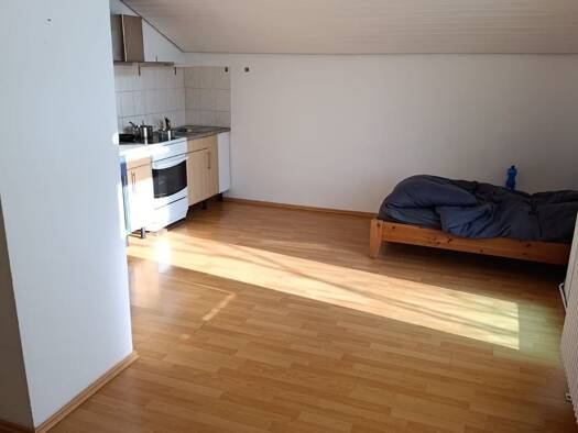Wohnung zur Miete 450 € 1 Zimmer 40 m² Geschoss 2/2 frei ab sofort Bad Mergentheim 97980
