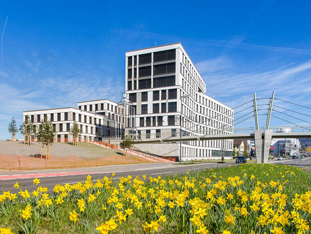 Bürofläche zur Miete provisionsfrei 16,50 € 588,4 m² Bürofläche teilbar ab 211,7 m² Bahnstadt Heidelberg 69115