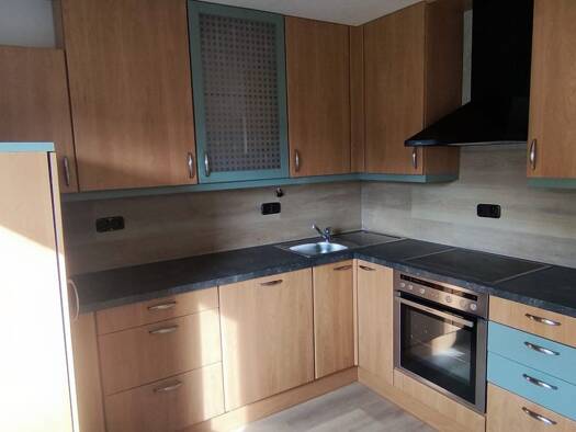 Wohnung zur Miete 550 € 2,5 Zimmer 50 m² Geschoss 1/2 frei ab sofort Fischbach Nürnberg 90475