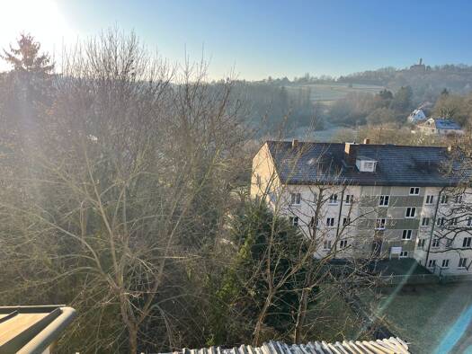 Wohnung zur Miete 700 € 1,5 Zimmer 40 m² Geschoss 2/2 frei ab sofort Bamberg 96049