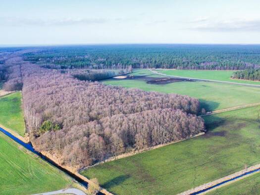 Land-/Forstwirtschaft zum Kauf 27.870 € 9.290 m² Grundstück Born a. Darß 18375