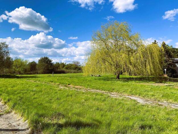 Einfamilienhaus zum Kauf provisionsfrei 1.800.000 € 10 Zimmer 720 m² 20.000 m² Grundstück Kaltenhof Nordwestmecklenburg - Landkreis - Dassow 23942