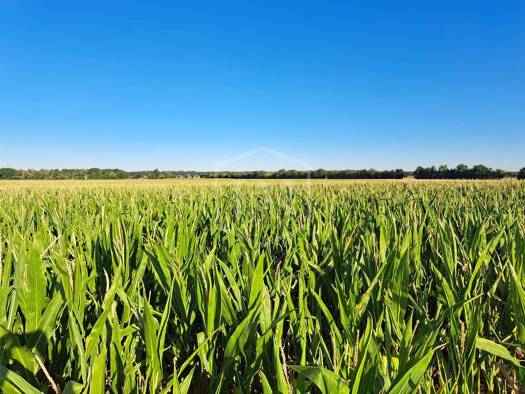 Land-/Forstwirtschaft zum Kauf 815.000 € 60.990 m² Grundstück Horrem Dormagen 41540