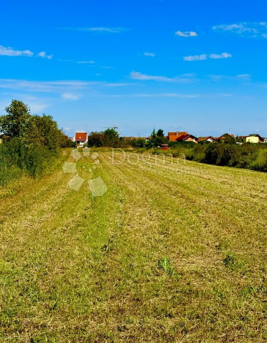 Land-/Forstwirtschaft zum Kauf 1.106.460 € Blato 10000