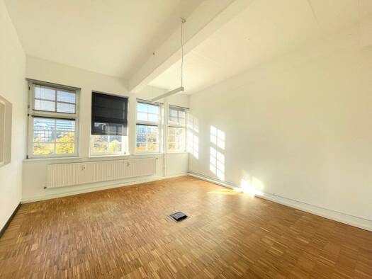 Bürofläche zur Miete provisionsfrei 16,50 € 172,3 m² Bürofläche Hamm Hamburg 20537